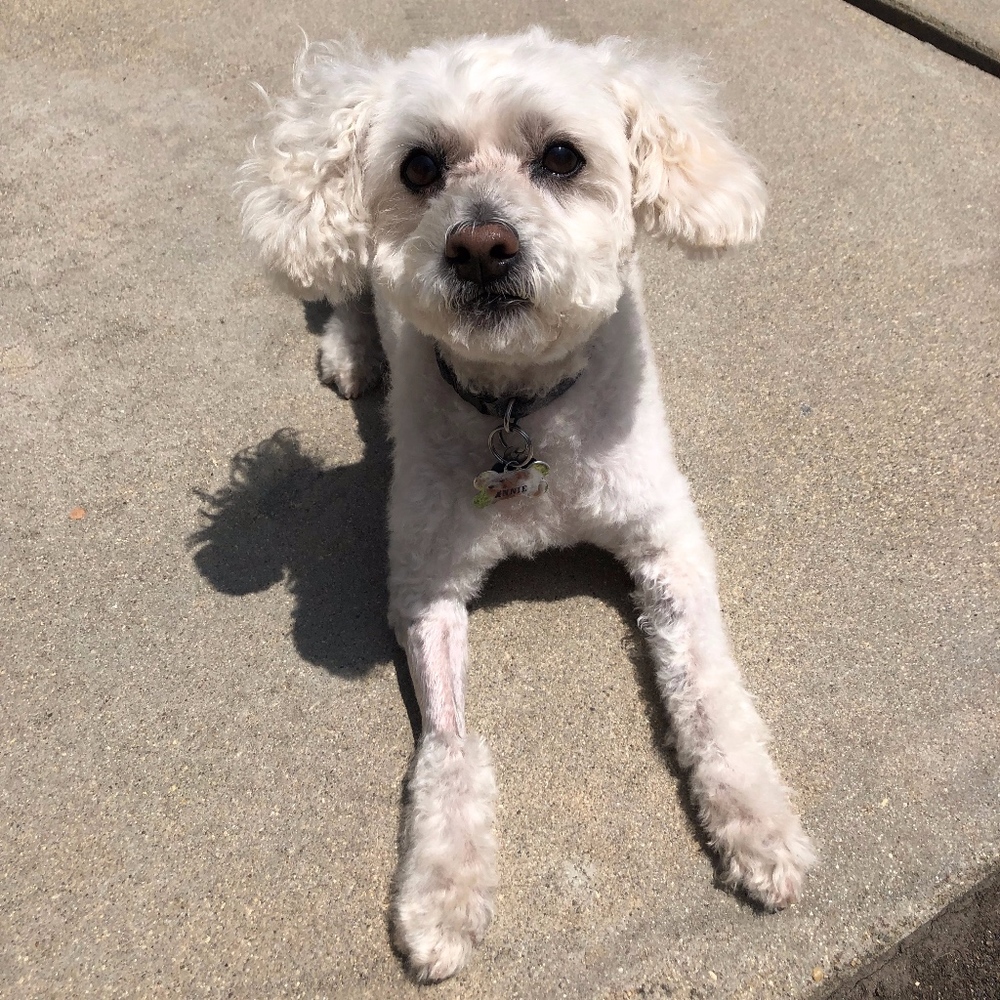 Meet your Posher, Ka